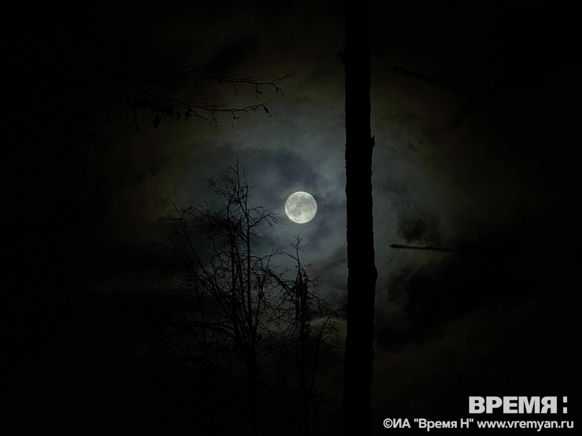 В декабре нижегородцы смогут увидеть полнолуние и пик метеорного потока Геминиды